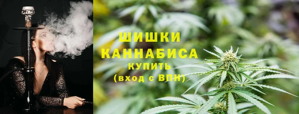 стаф Богданович