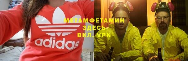 стаф Богданович