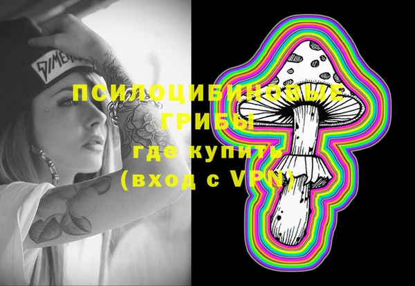твердый Белокуриха