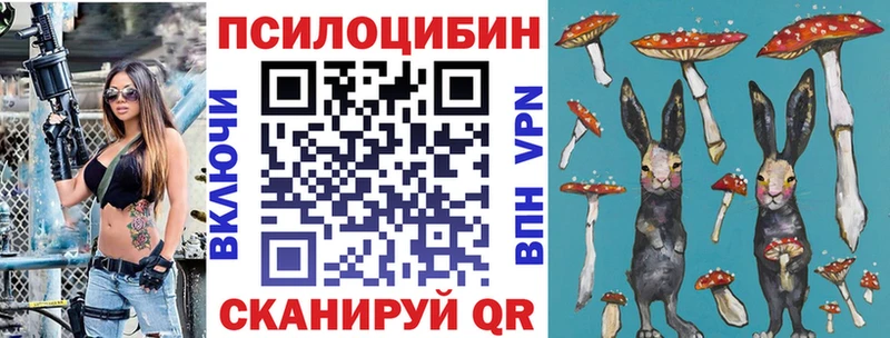 Псилоцибиновые грибы GOLDEN TEACHER  Сковородино 